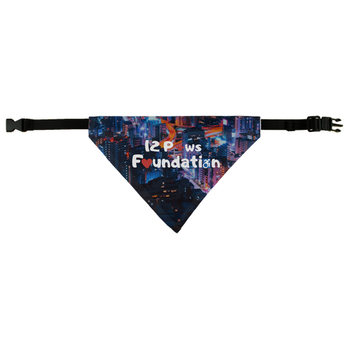12 Paws Night Lights Pattern Pet Bandana